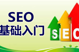 辽宁seo,挖掘地域特色,助力企业数字化腾飞