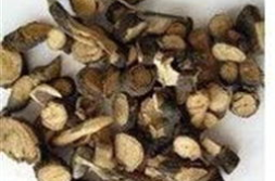 中药材商贸网,打造一站式中药材交易与服务平台