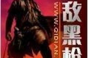 黑枪小说,暗夜猎手传奇