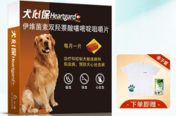 犬心保,守护宠物健康的守护神