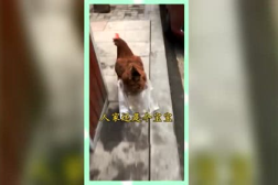 熟悉娱乐吃瓜群众