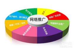 绍兴seo,揭秘提升网站排名与流量的实战策略