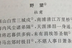 野望杜甫,杜甫野望中的忧国忧民情怀与人生感慨
