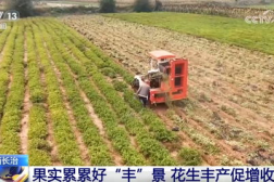 农业致富网,揭秘农业致富新路径,助力乡村振兴!