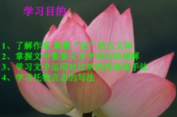 爱莲说课件,周敦颐爱莲说中的高洁品格与人生哲理